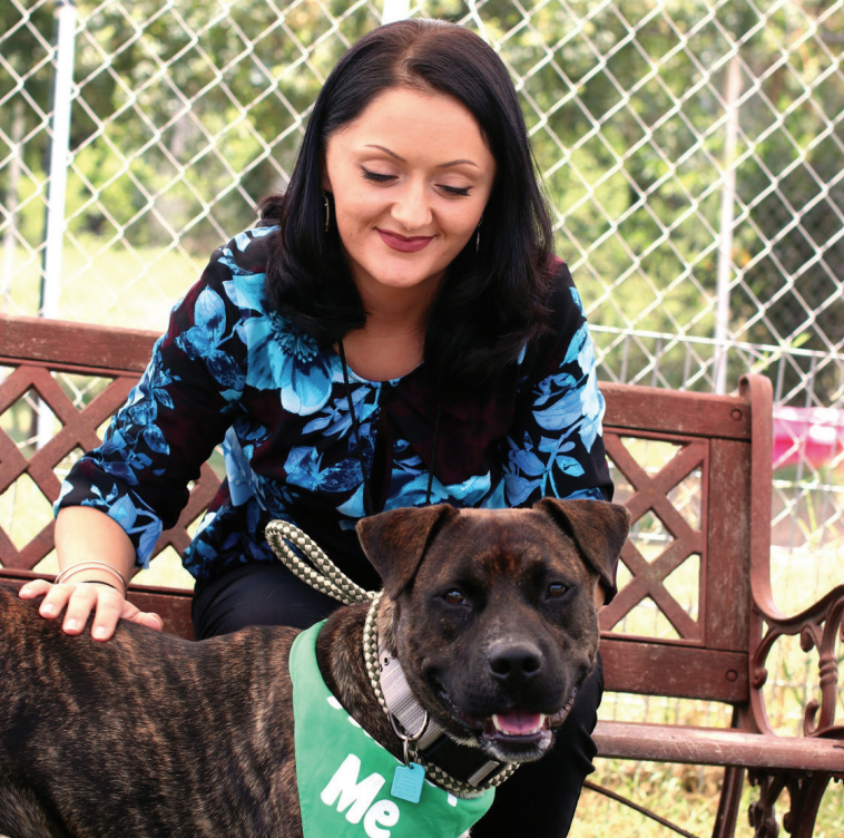 Animal shelter needs more foster parents